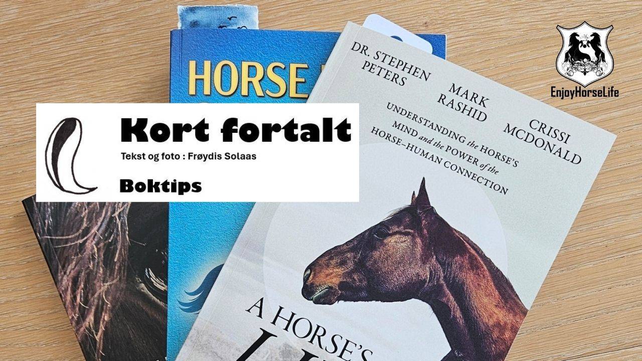anbefalte bøker