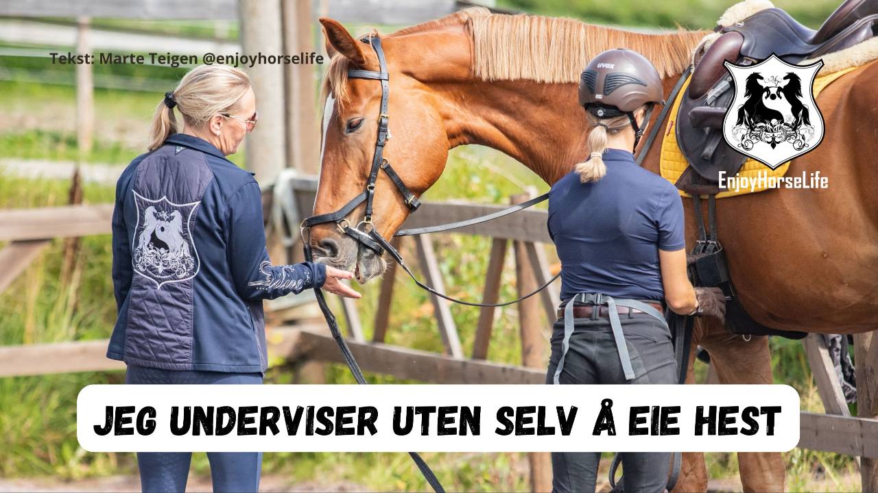 har ikke hest selv lenger
