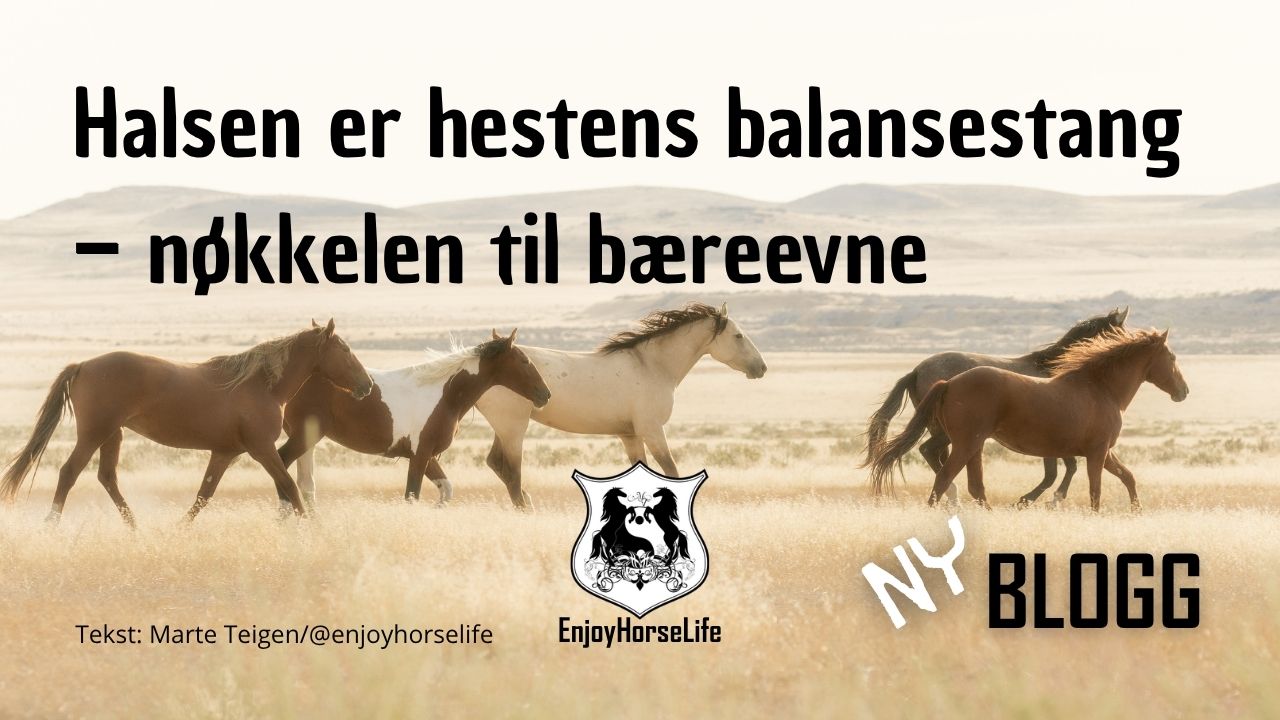 hester i det fri