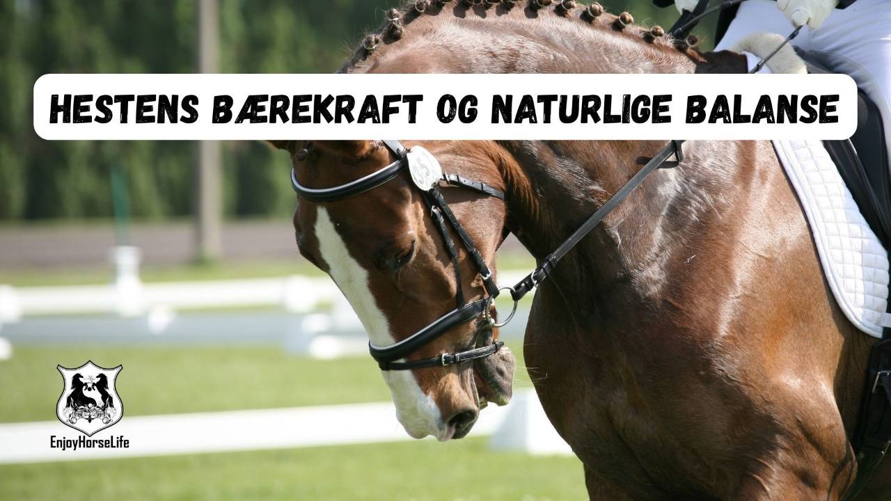 hestens bærekraft og naturlige balanse