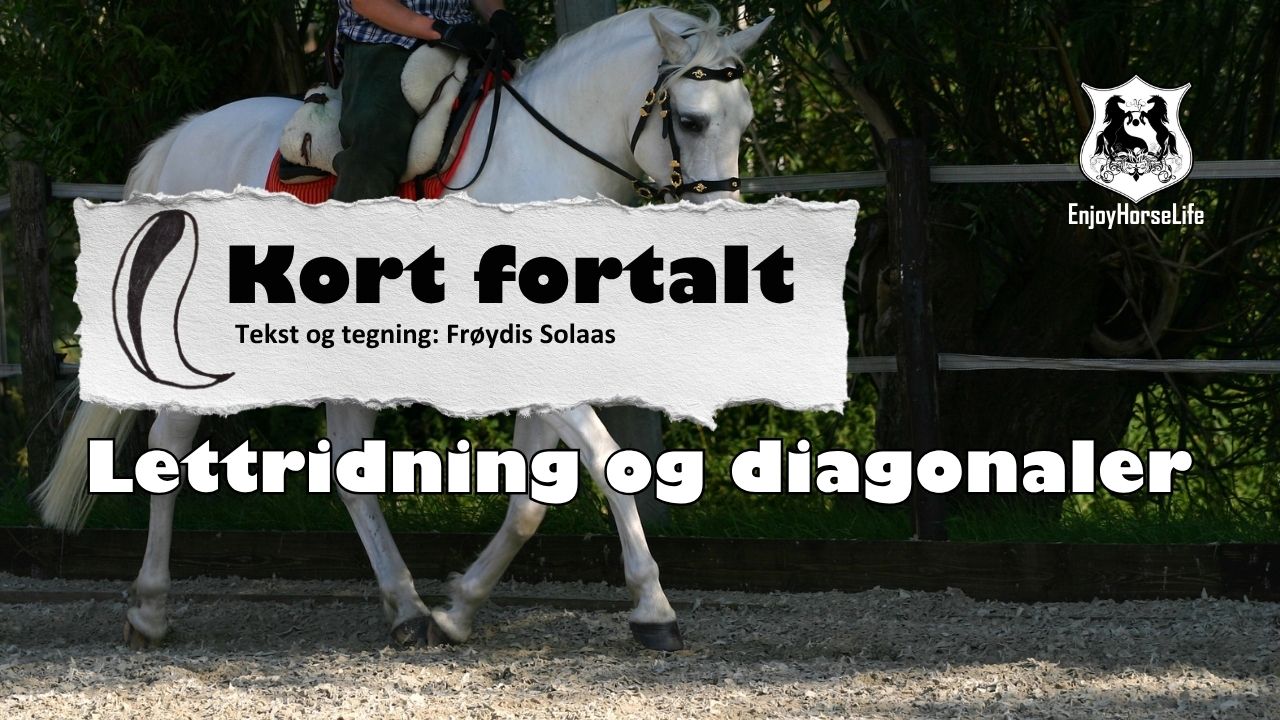 lettridning