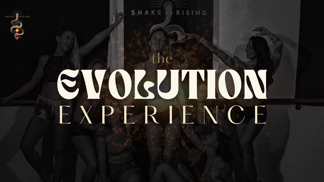 The Evolution Experience