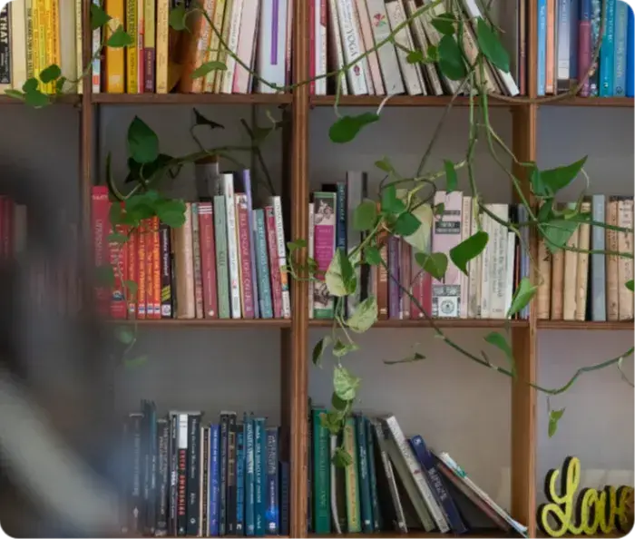 Bookshelves filled with yoga, psychology and research books at The Yoga Space