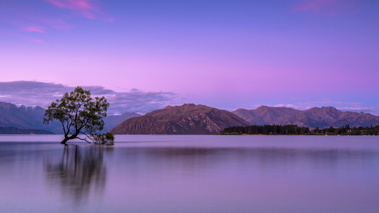 The New Zealand Retreat 2027