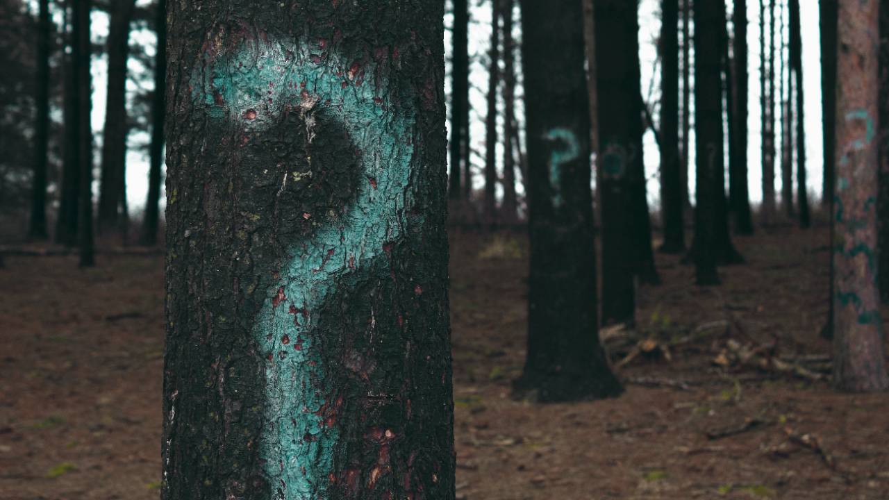 Restoring Questions for Alignment