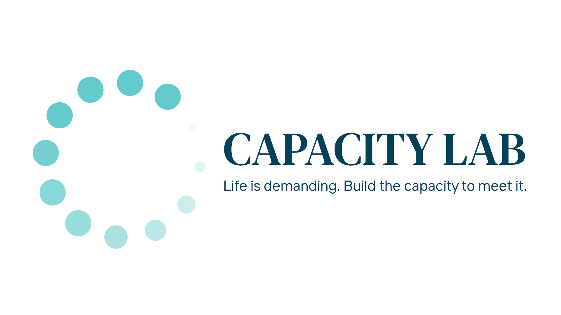 Capacity Lab workbook and brand visual