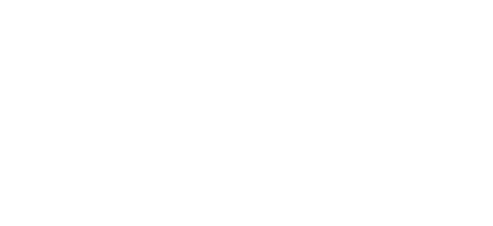 Will Ripley