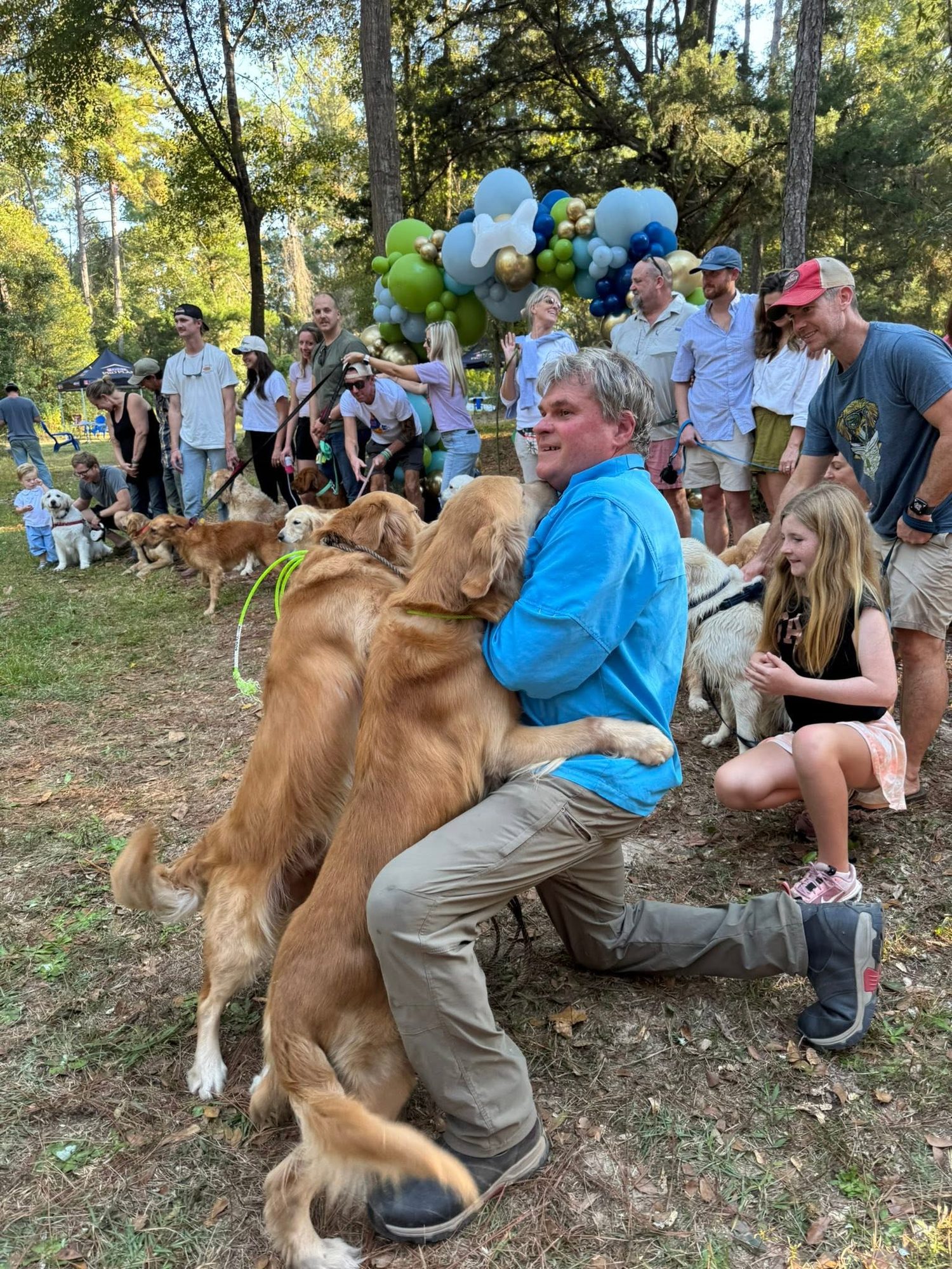 Frank Leatherbury being bowled over by happy Golden Retrievers at Golden Fest