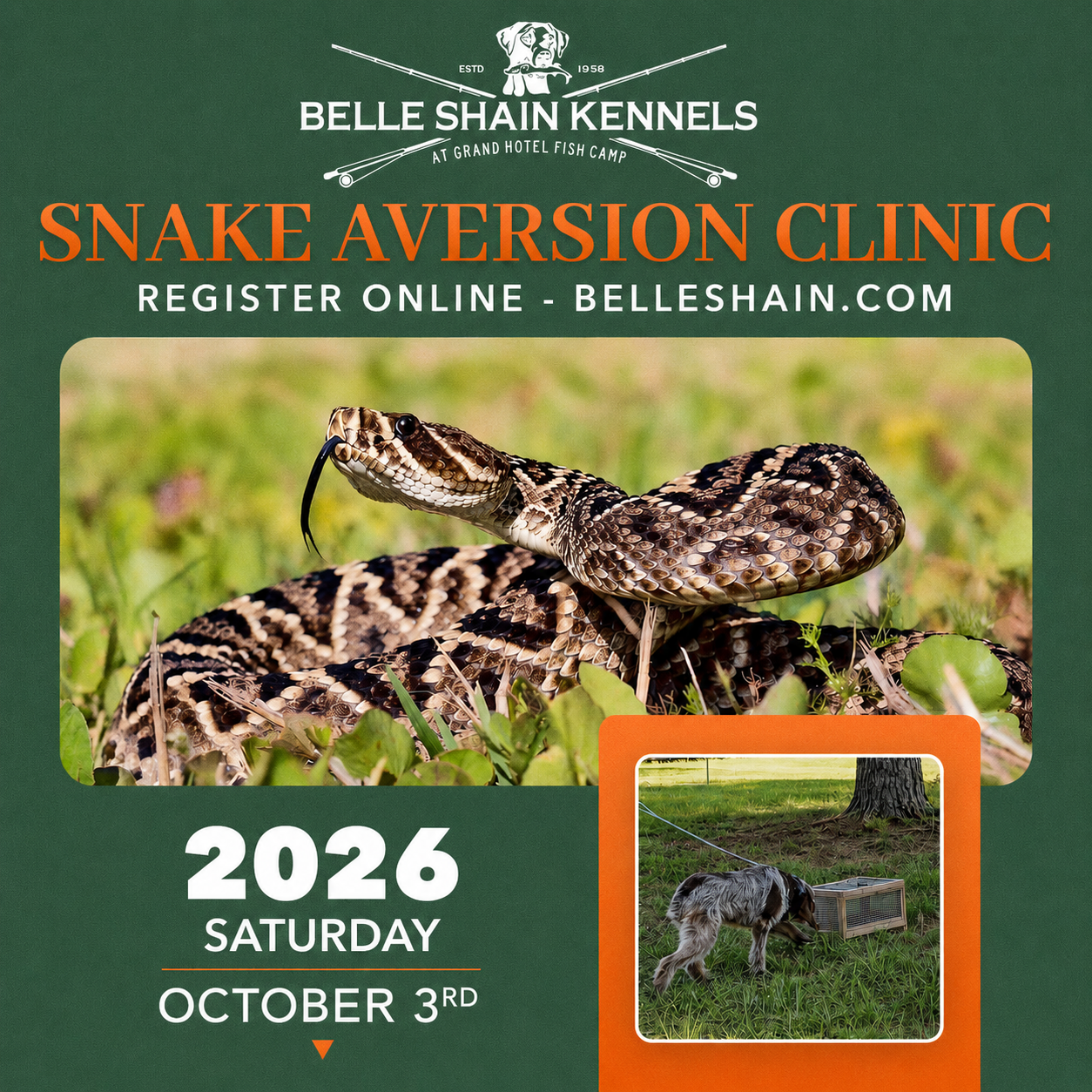 Snake Aversion Clinic, Saturday, October 3, 2026 at Belle Shain Kennels