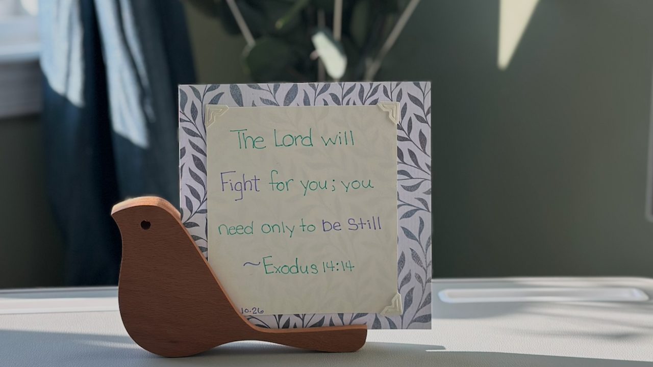 Sunlight shining on a handwritten Exodus 14:14 Bible verse beside a wooden bird in a peaceful home setting