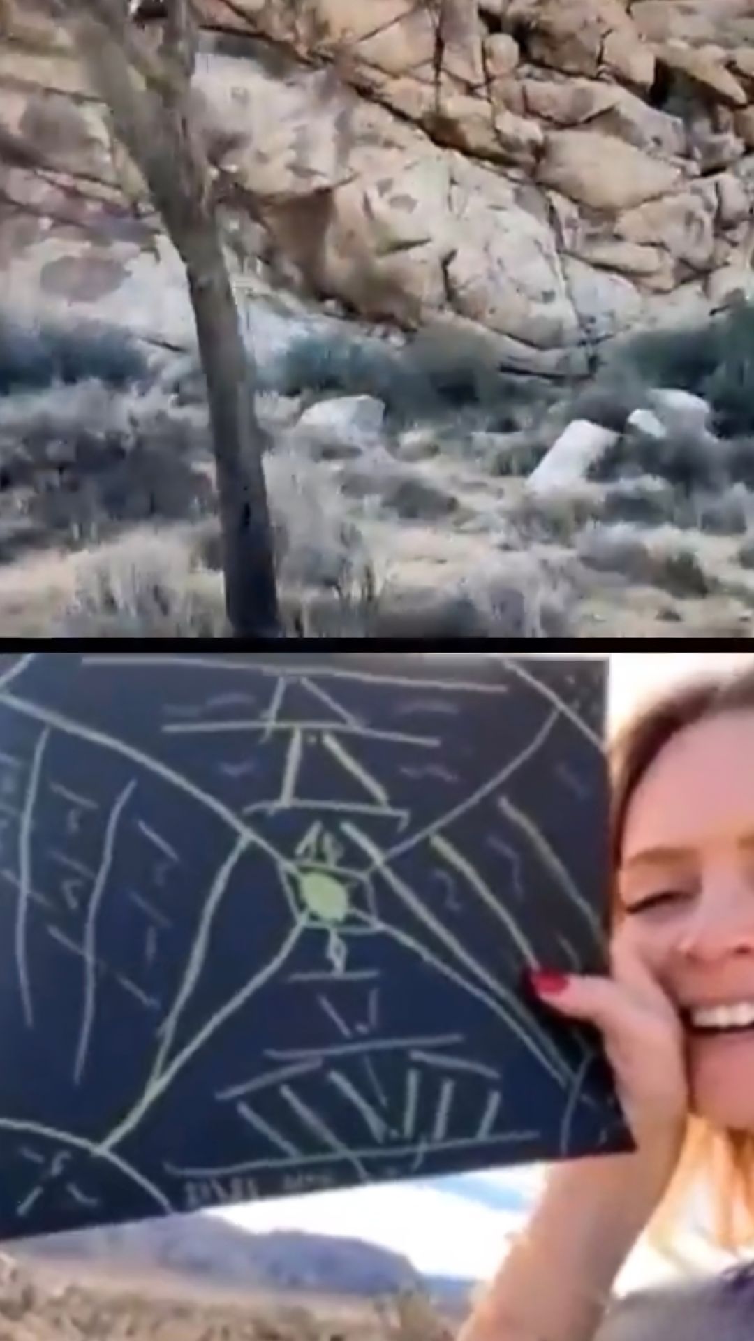 Joshua Tree gridwork Instagram thumbnail