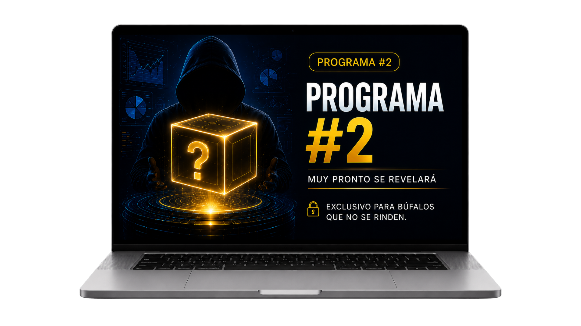 Programa Estelar #2