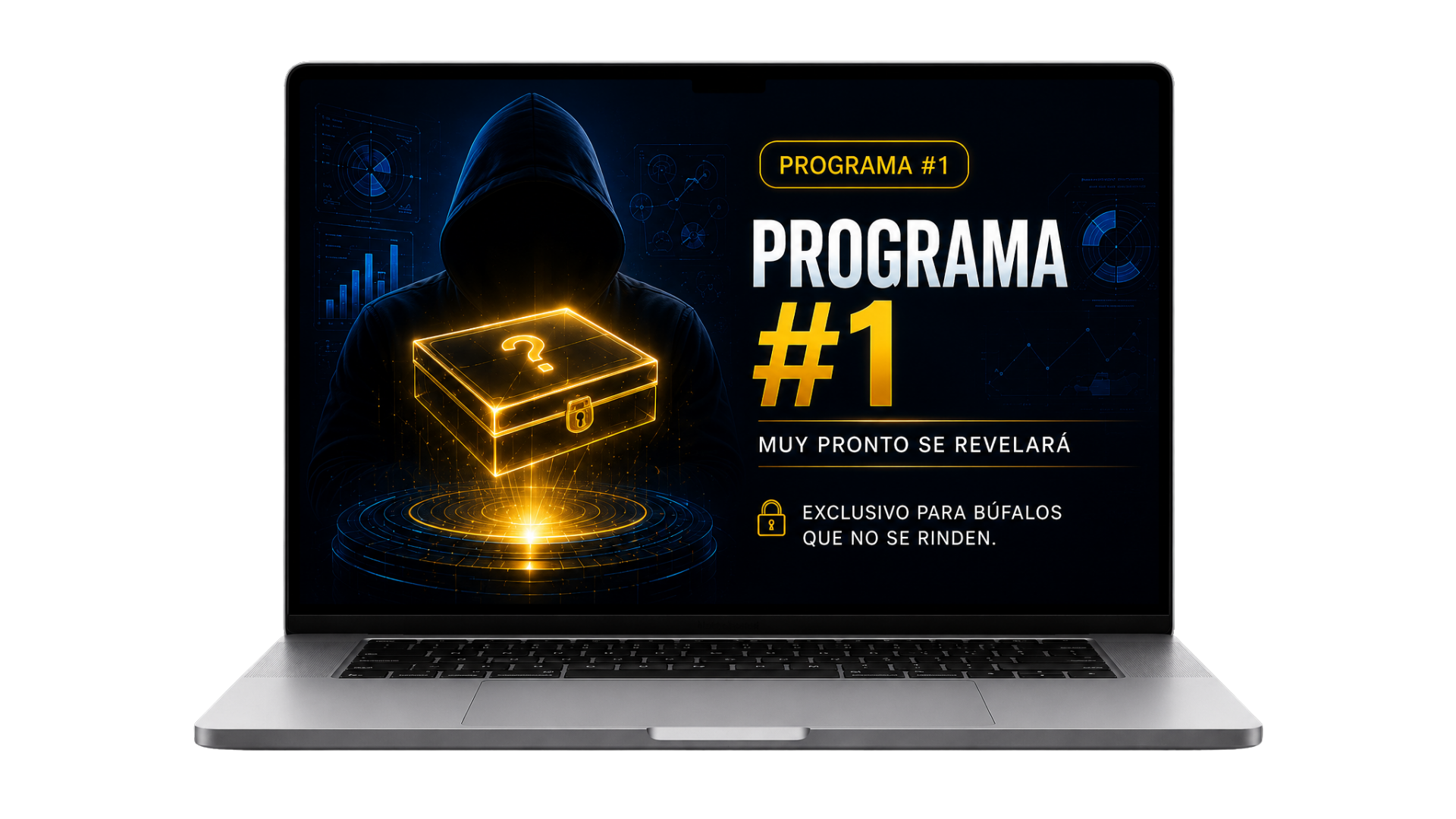 Programa Estelar #1