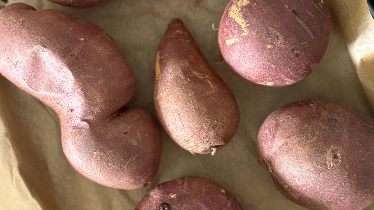 Japanese Sweet Potato