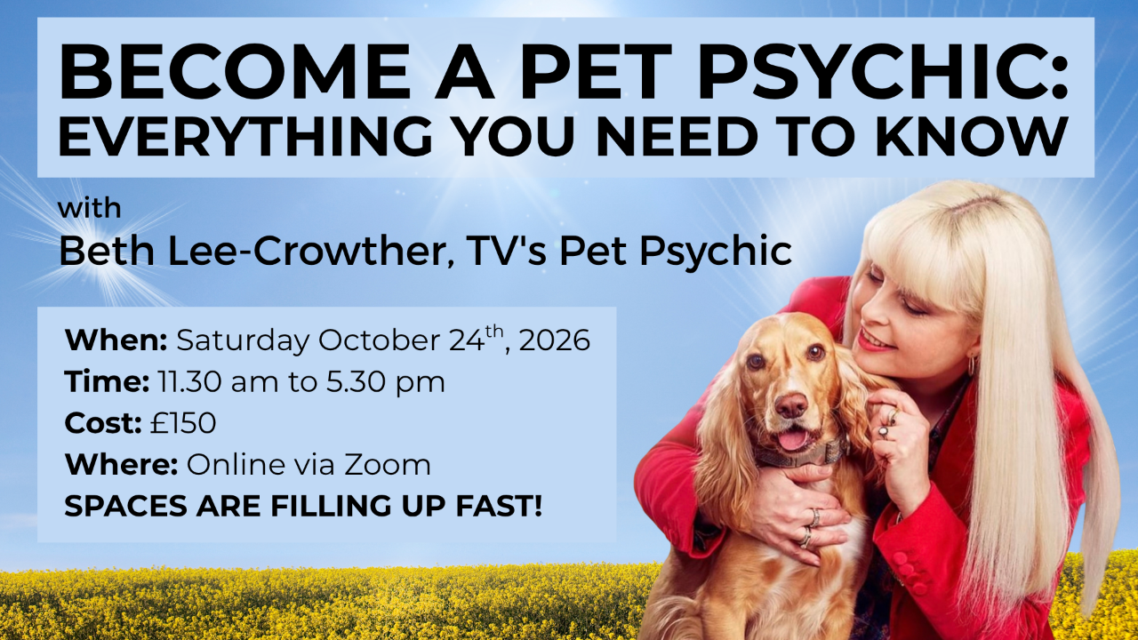 Become a Pet Psychic: Everything You Need to Know, with Beth Lee-Crowther, TV's Pet Psychic