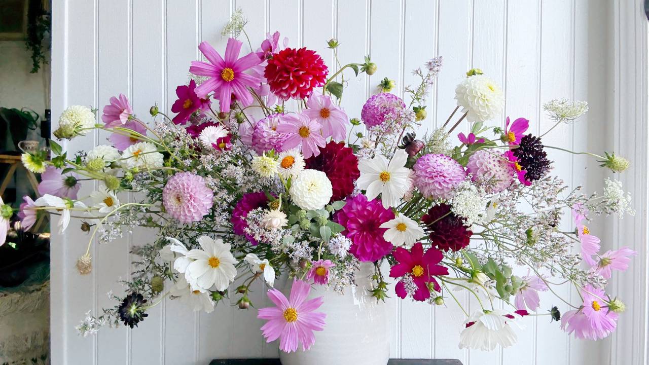 flower arrangement filled with dahlias and cosmos in berries, pinks and white shades