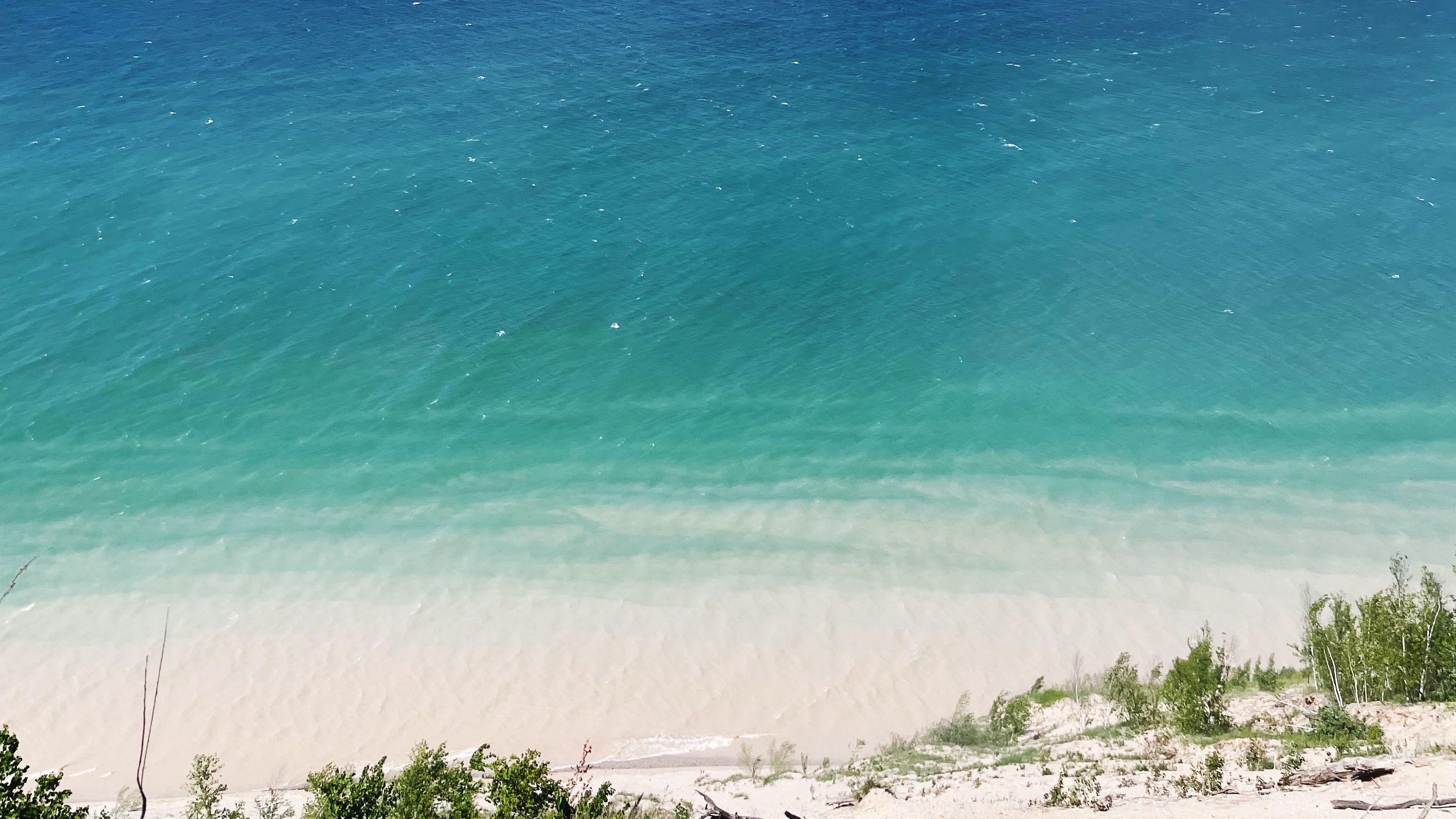 image of lake michigan from pyramid point - blue water with sand and scrubby dune grasses