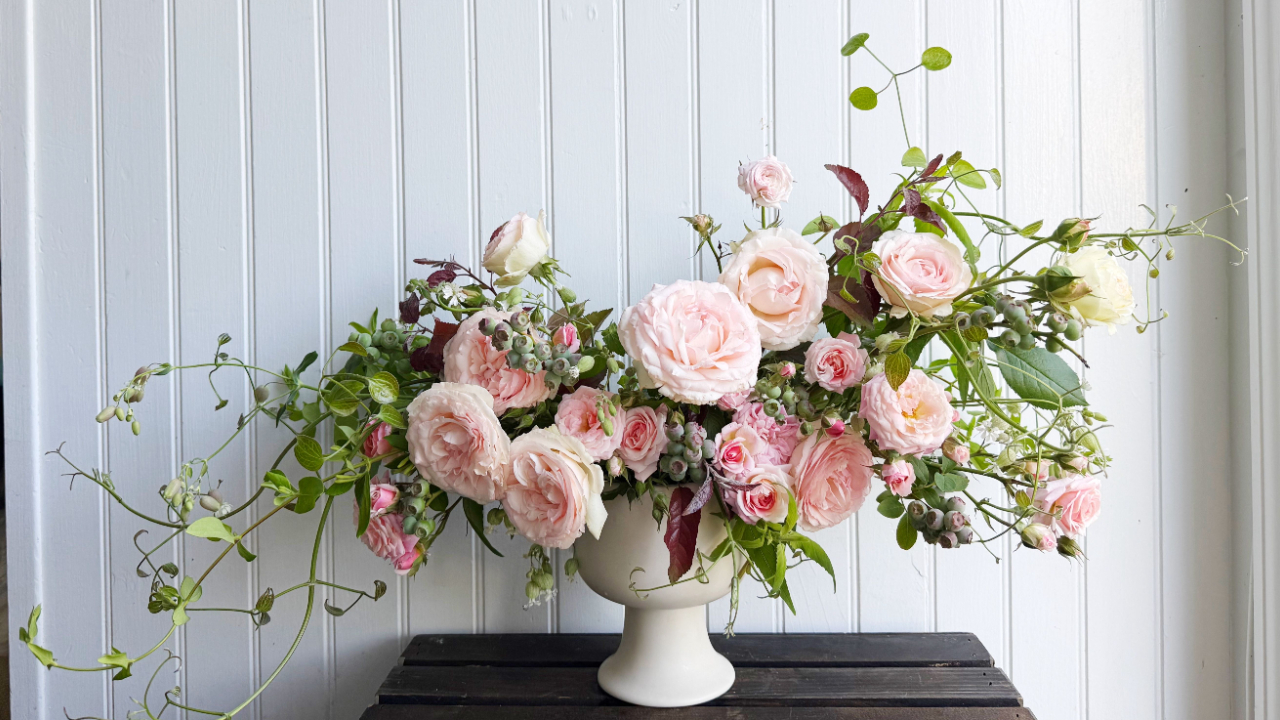 arrangement of soft pink garden roses - eden climbing rose - with clematis and more against white background