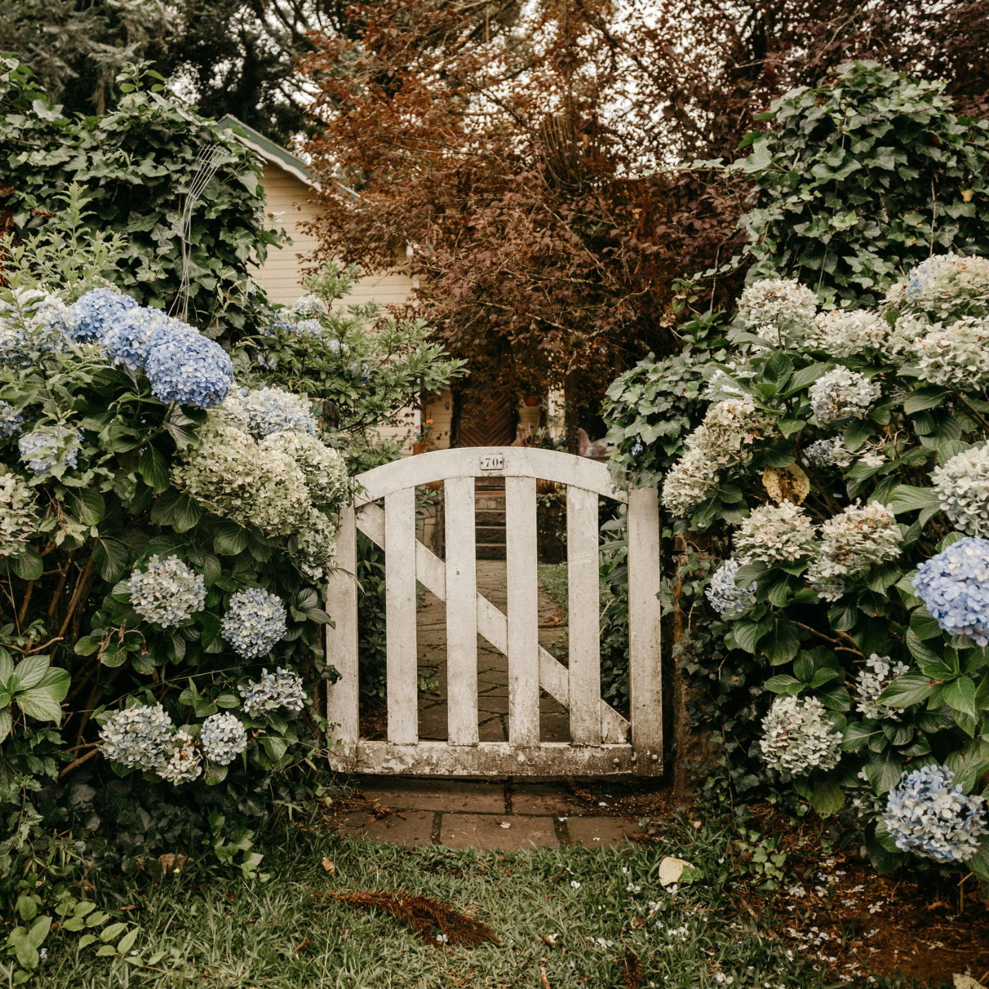 Photo by Jonathan Borba on Unsplash