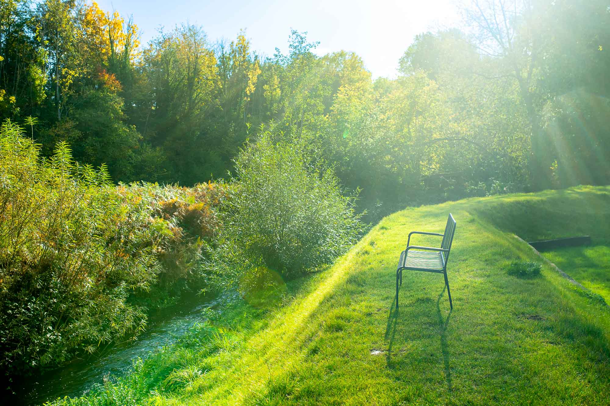 A chair on the sunlit lawn beside trees and water
