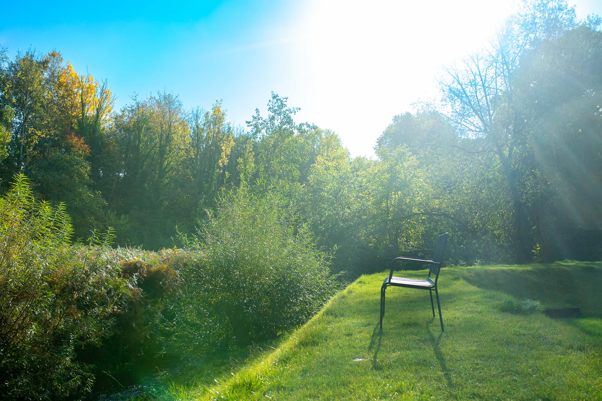 A chair on a sunlit lawn surrounded by trees