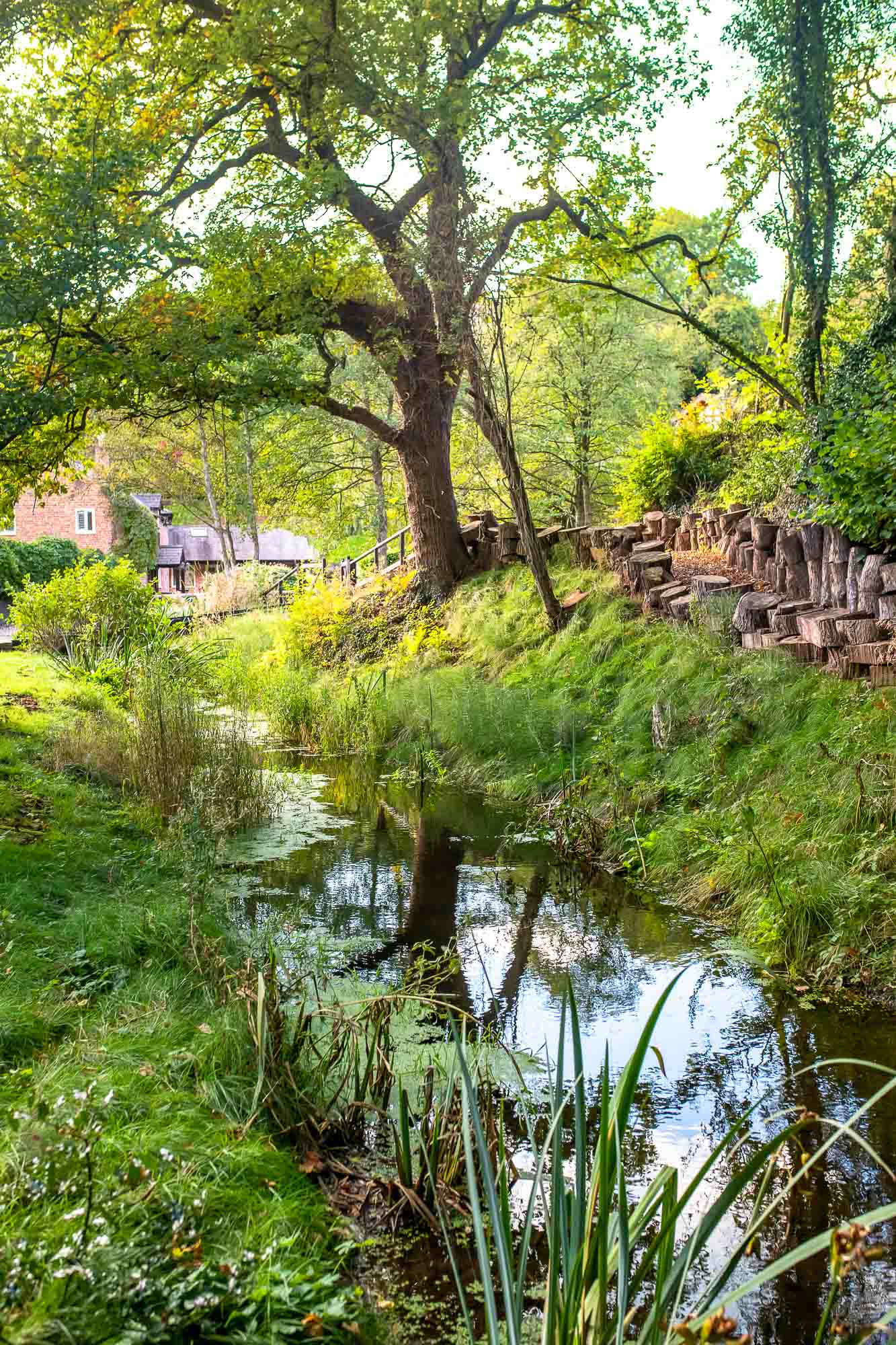 The stream beneath leafy trees in the retreat grounds