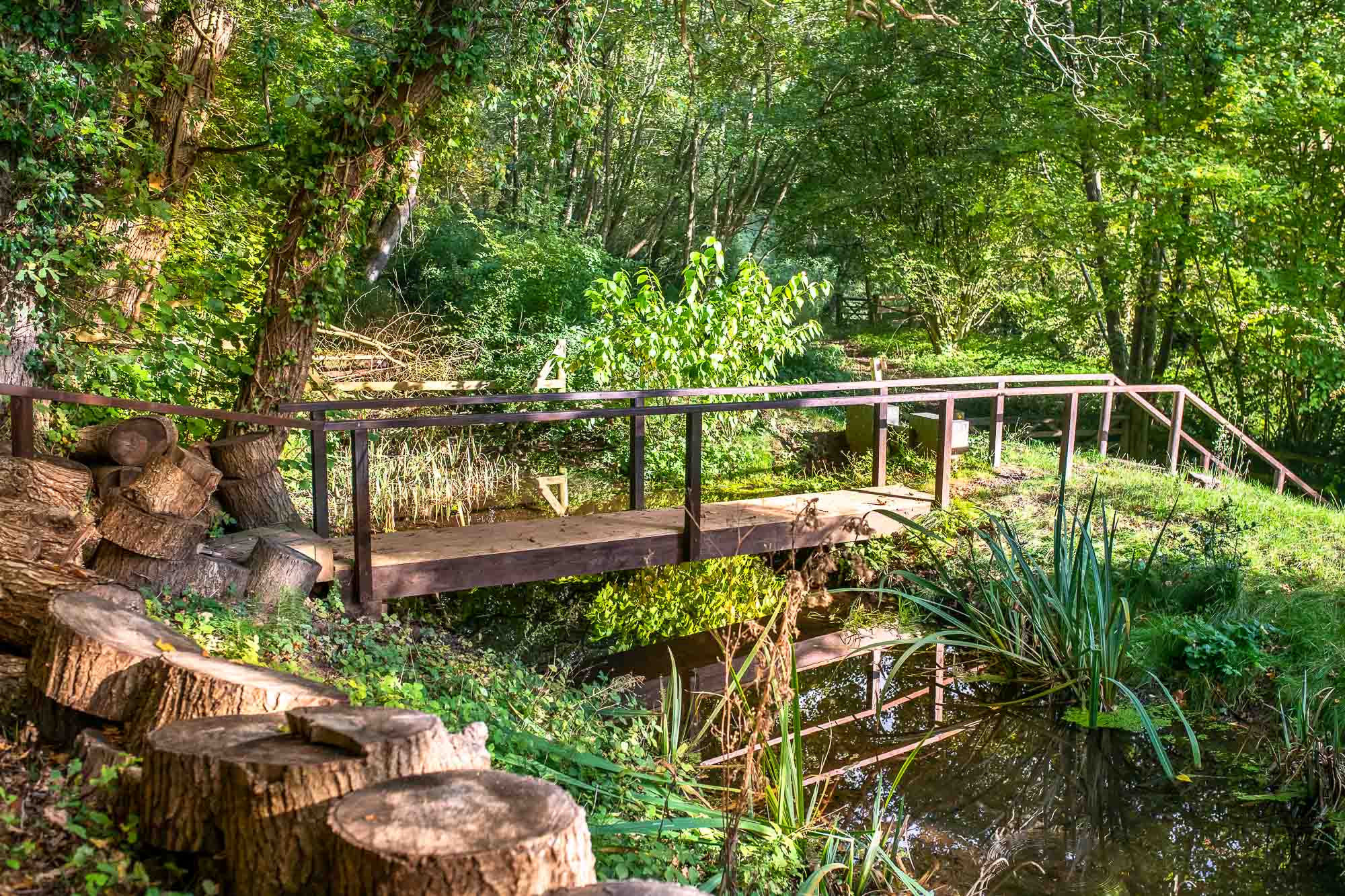 A wooden footbridge across the water in the retreat grounds