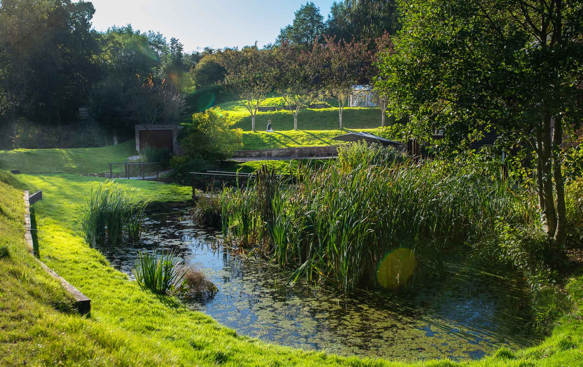 The pond and grounds at Jimmy and Magdalena’s retreat home