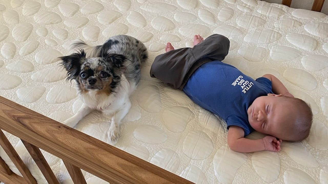Non-toxic nursery: Baby sleeping in an organic crib mattress