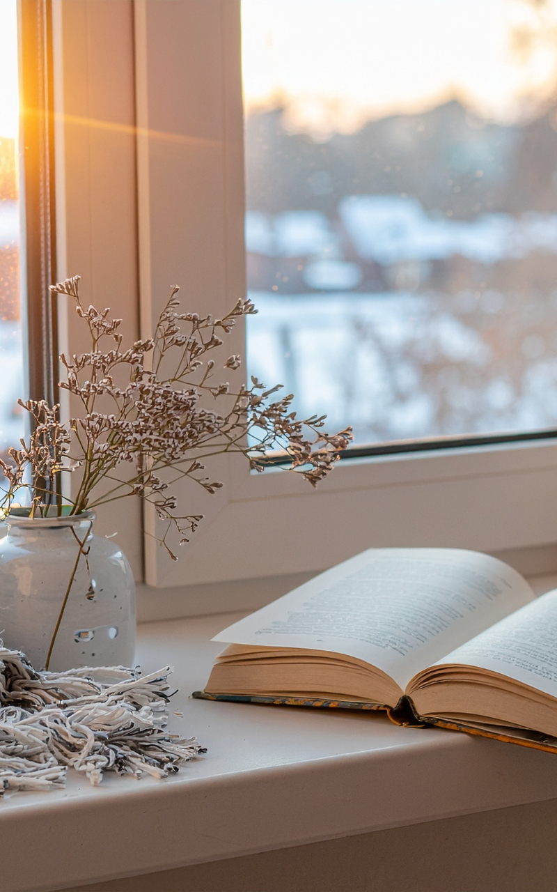 Open book on windowsill Lets Find Your next step together book a strategy call with Find Your North Star