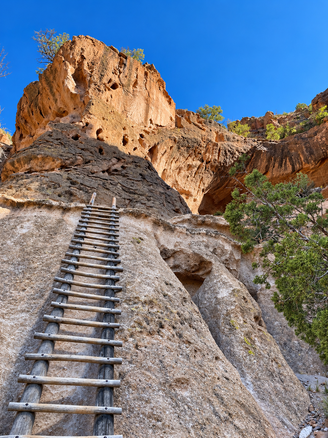 Ladder leading up to an Ancestral Pueblo cliff dwelling at Bandelier National Monument