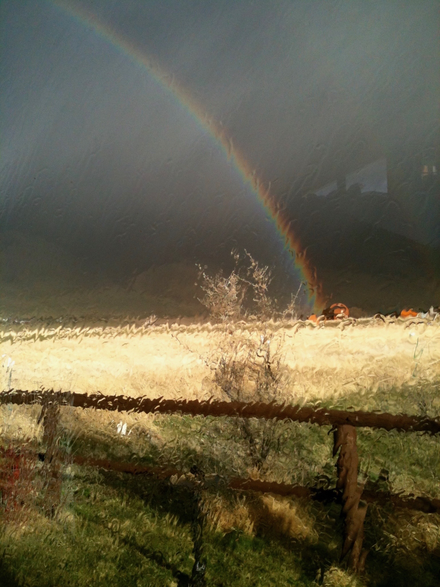 A rainbow breaking through storm clouds over a golden field, seen through a rain-streaked window