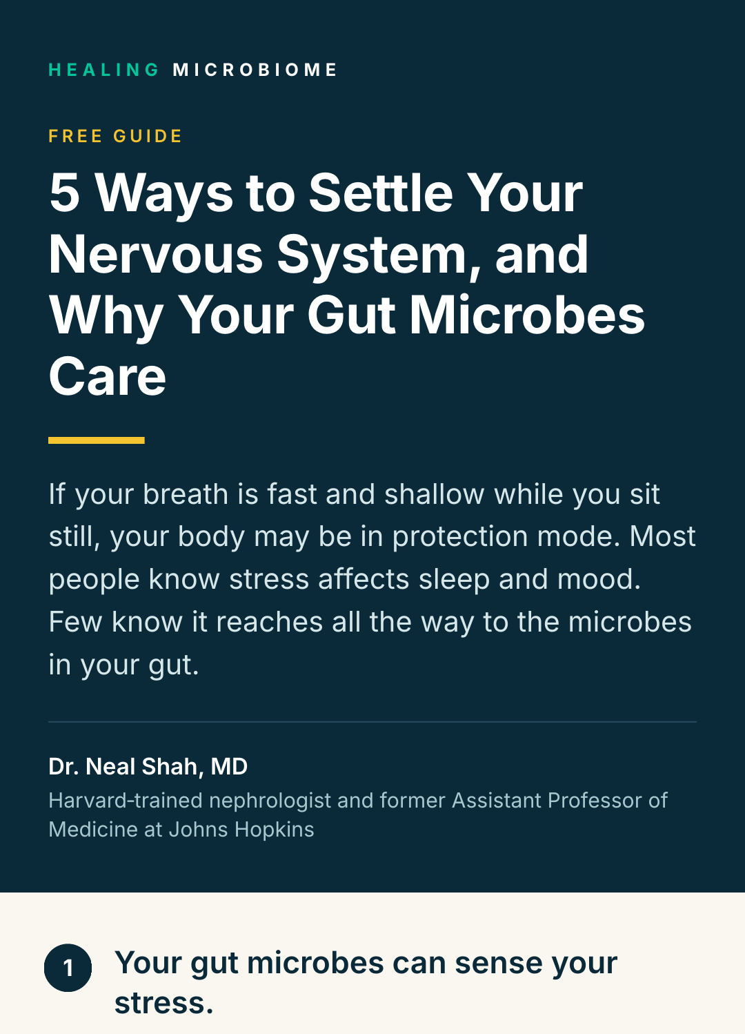 Cover of the free guide: 5 Ways to Settle Your Nervous System, and Why Your Gut Microbes Care
