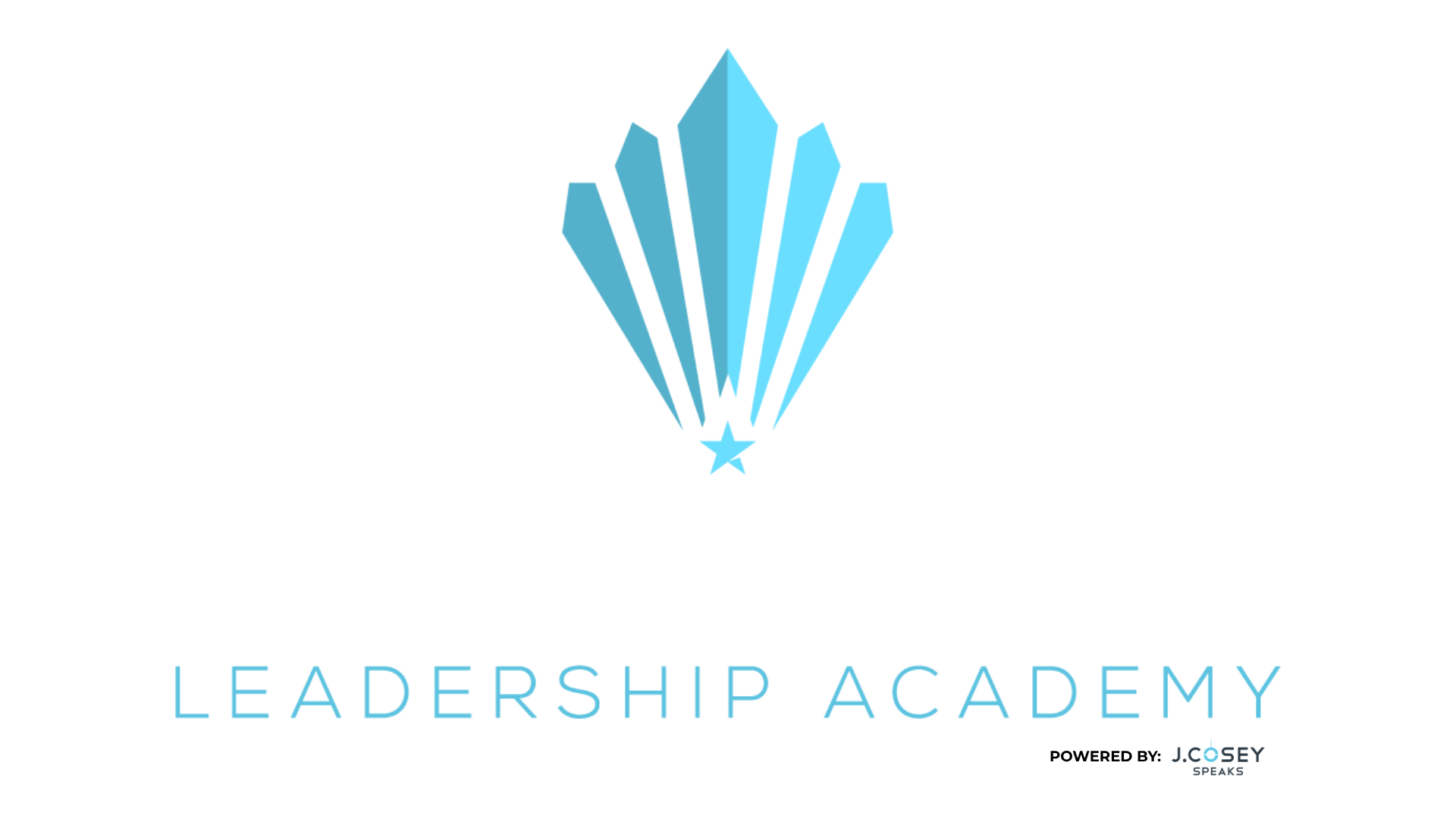 Five STAR Leadership Academy leadership development for senior healthcare organizations