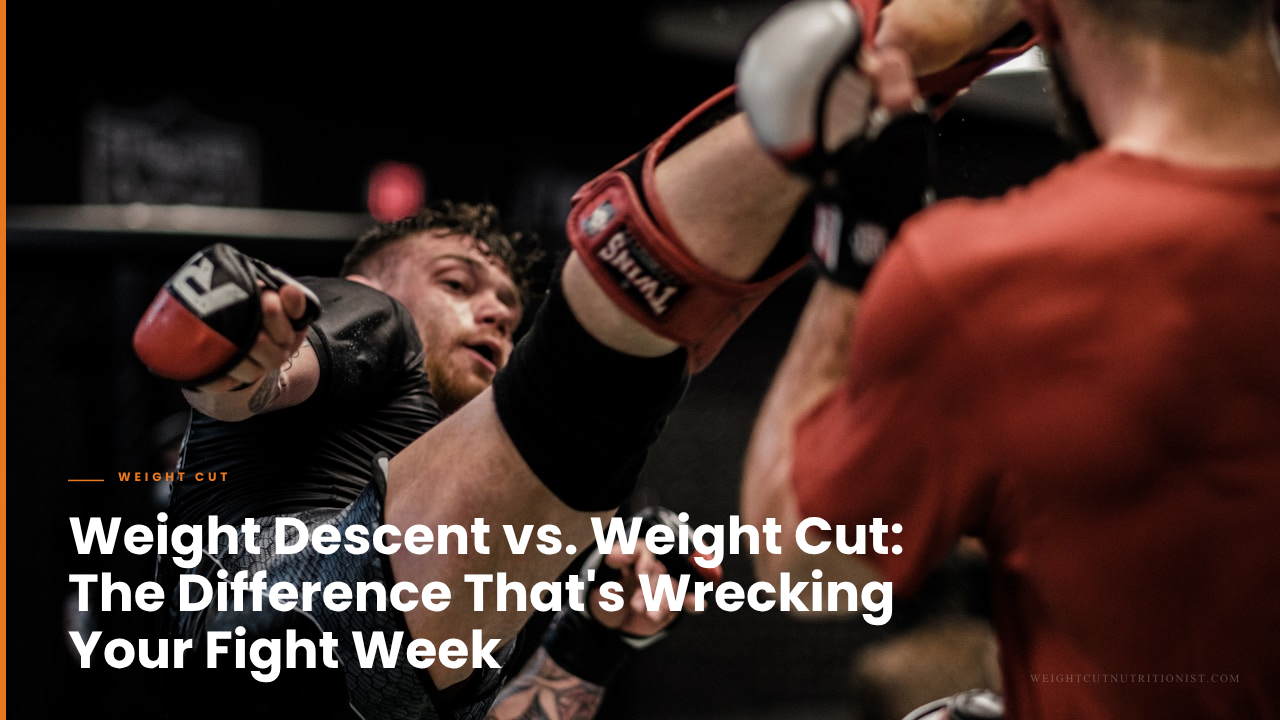 Combat athlete sparring in MMA gym