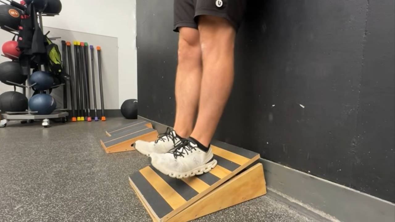 Tibialis Raises