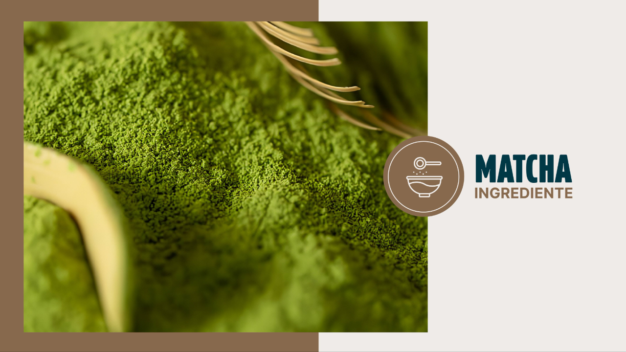 Polvo de matcha verde intenso con textura fina, representando su perfil vegetal, umami y su uso en cremas, ganaches y postres.