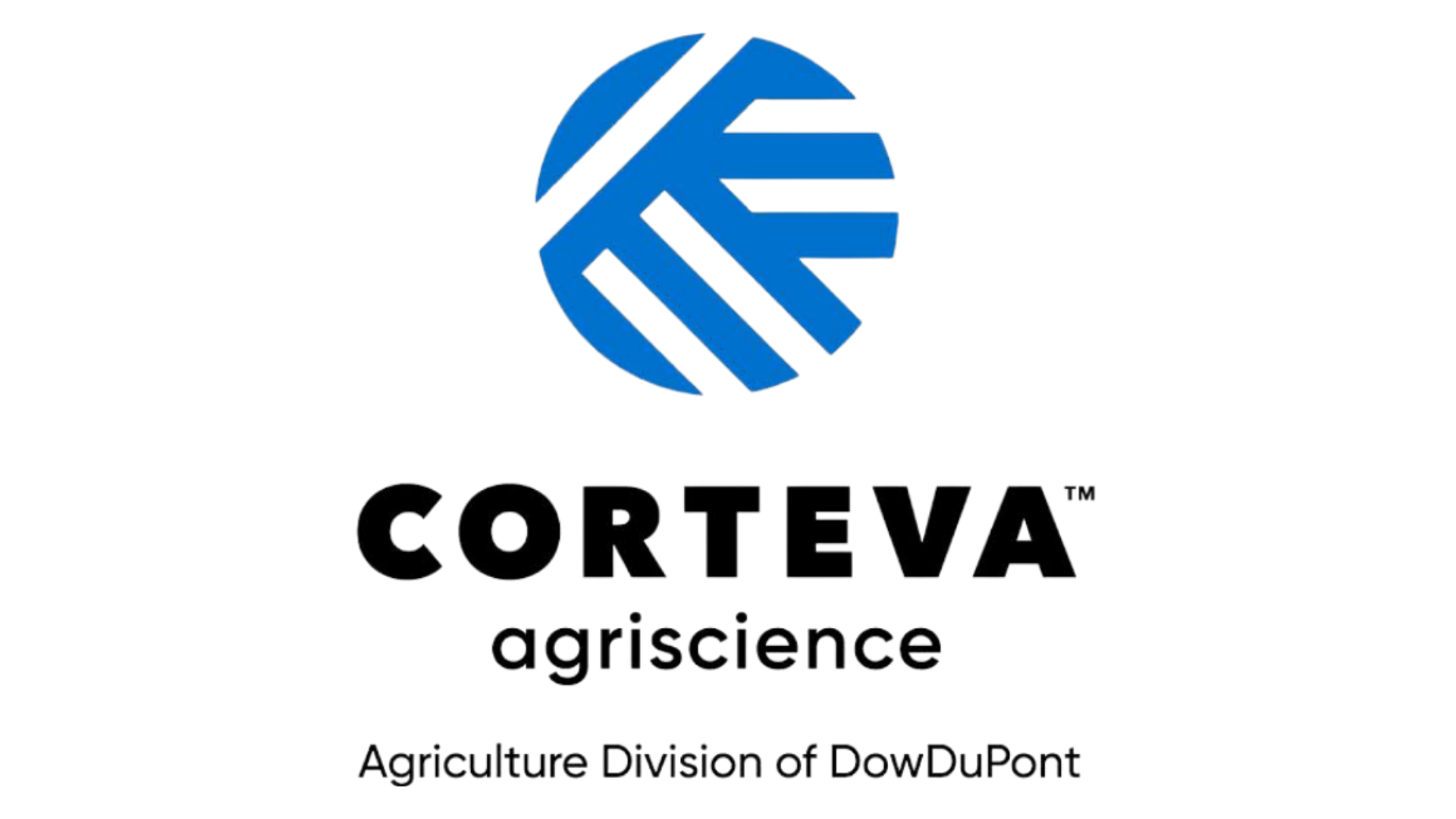 Logo 5