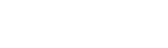 Lexar