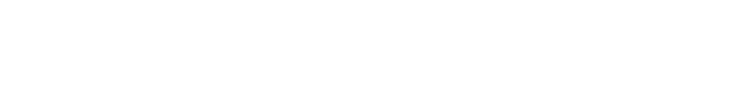 OM System