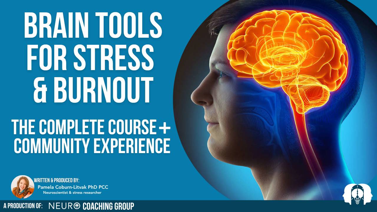 Brain Tools for Stress and Burnout Comparison Table