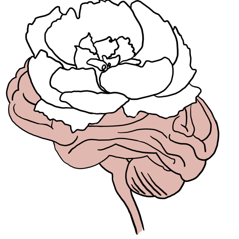 Header Logo