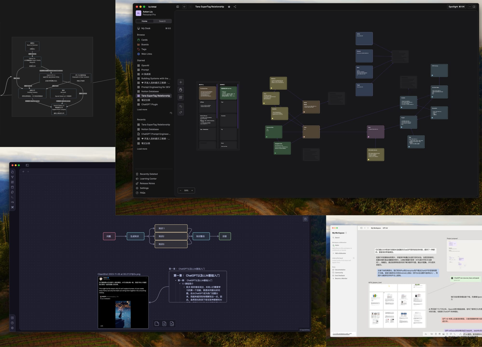 Arc 是 什么 (97) 사진