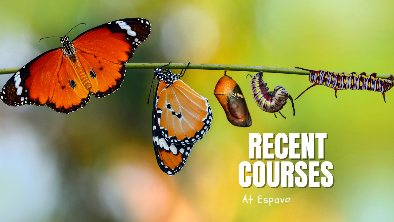 From silkworm to a butterfly 