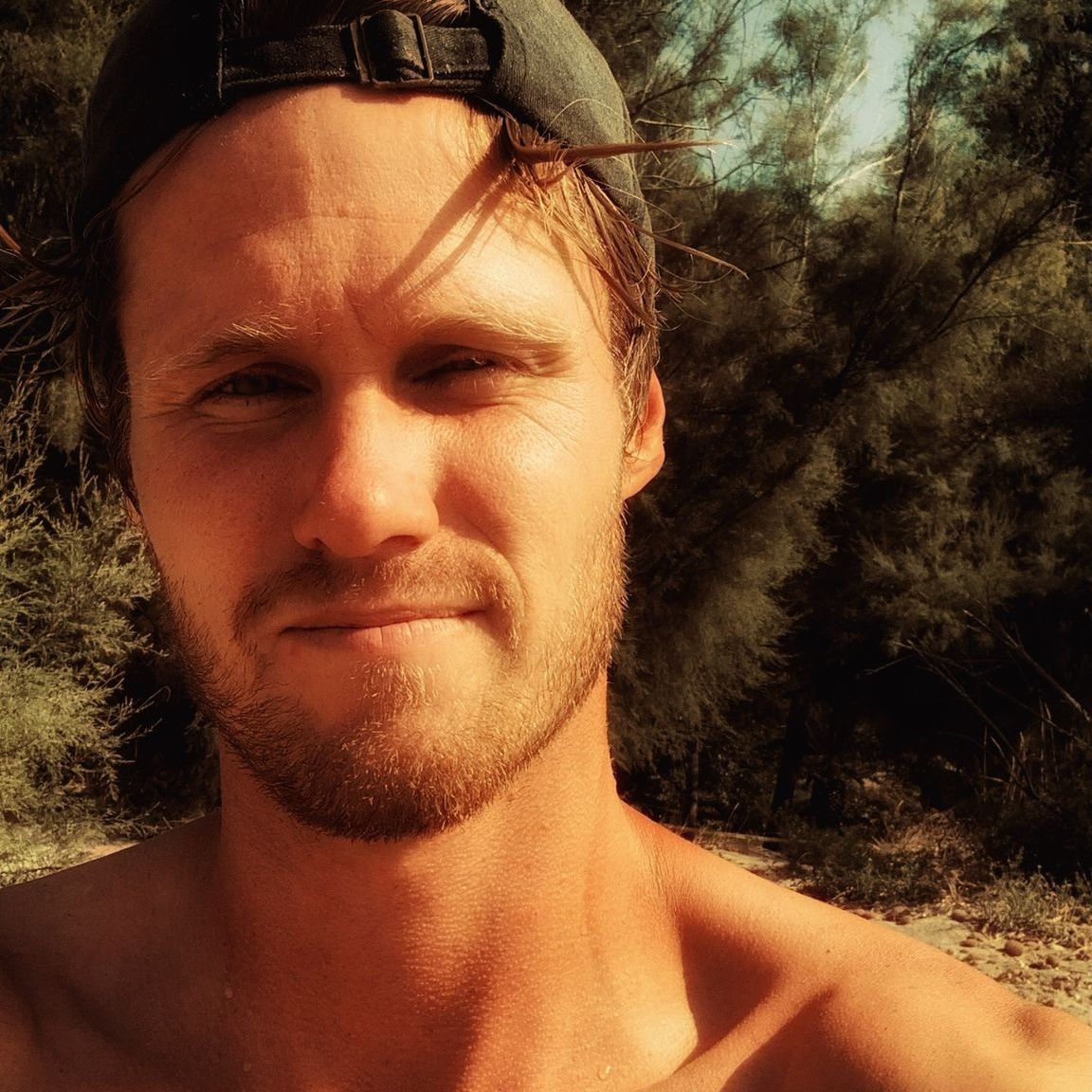 Person sitting under glowing tree at golden sunset — Dream it mindset clarity and vision coaching by Bastiaan Kollen