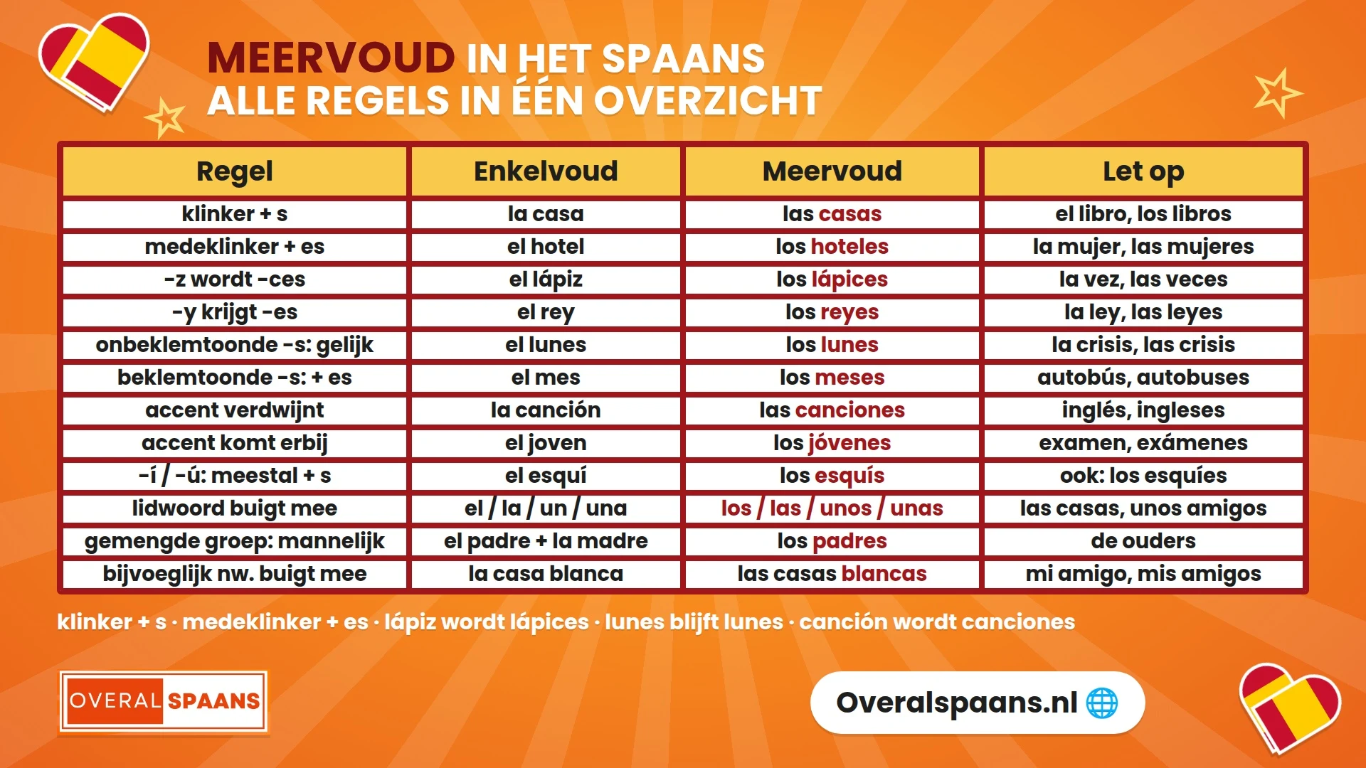 Infographic meervoud in het Spaans: de regels voor -s en -es, lápiz wordt lápices, lunes blijft lunes, canción wordt canciones en los padres