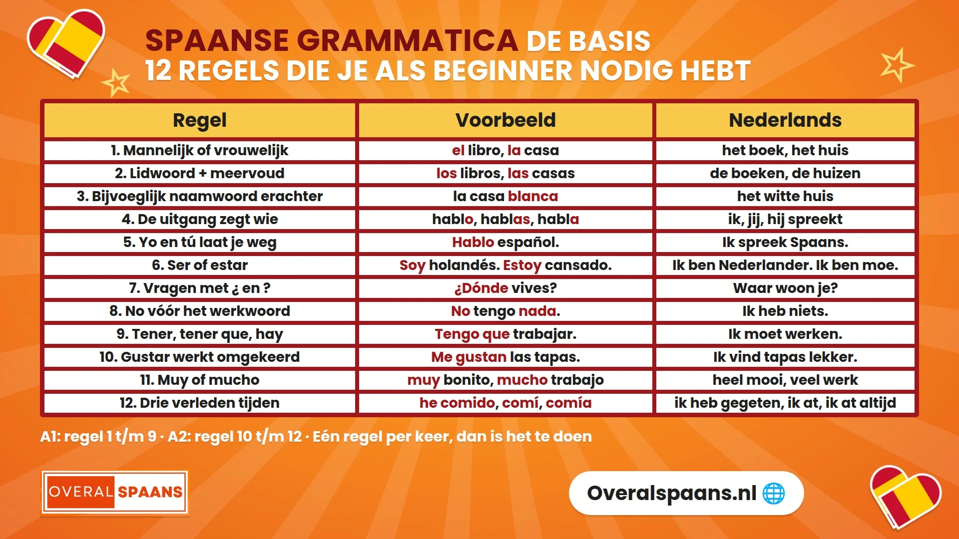 Infographic Spaanse grammatica: de twaalf basisregels voor beginners met een voorbeeld en vertaling per regel