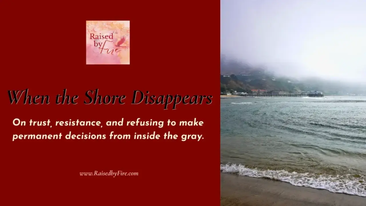 When the Shore Disappears - Laura Doughty Blog