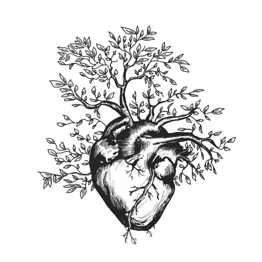 Header Logo
