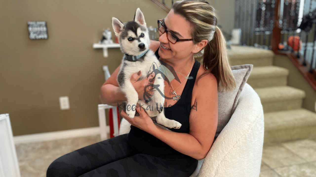 How to Choose a Reputable Alaskan Klee Kai Breeder in Southern California